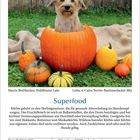 Kalender mit einem Hund im Kürbis. Text "Superfood" beschreibt Kürbisse als gesund für Hunde. Datum: 3. Oktober 2027.