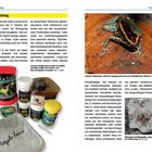 Links: "Ernährung", "Ernährung", "WIE", "Amphibien", "REAPSHY". Rechts: "Gestreifte Blattsteiger", "Mikros". Oberes Bild: Frosch. Unteres Bild: Insekten.