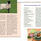 Links: "Eine sagenhafte Erfolgsgeschichte". Rechts: "Schmortopf vom Rhönschaf". Ein Schaf auf einer grünen Wiese.