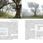 Texte: "Fanal", "2.6. Die Inselmitte - Fanal", "Rundwanderung bei Fanal", "Wie man hinkommt". Bildmotiv: Nebel im Wald mit alten Lorbeerbäumen.