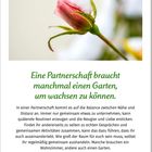 „Eine Partnerschaft braucht manchmal einen Garten, um wachsen zu können.“ Nahaufnahme einer Rosenknospe mit Schnee.