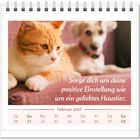 Text: "Sorge dich um deine positive Einstellung wie um ein geliebtes Haustier. Februar 2027". Katze und Hund auf einem Sofa.