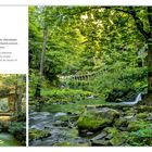 Lohmener Klamm: Eine grüne Schlucht mit Wasserfall, alten Gemäuern und einem Bach inmitten dichter Vegetation.