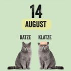 Text: "Luksan Wunder", "14 August", "Katze", "Klatze", "Tiere, die man leicht verwechselt". Zwei graue Katzen, eine mit Glatze.