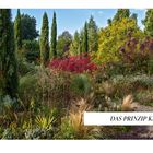 "Das Prinzip Kiesgarten" auf weißem Banner. Bunte Pflanzen, Gräser und hohe Bäume in einem üppigen Garten.