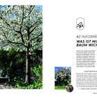 #2 INFORMIEREN: WAS IST MIR BEI EINEM BAUM WICHTIG? Ein blühender Baum neben einer Bank; Text erläutert Baumeigenschaften.