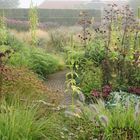 Ein üppiger Garten voller verschiedener Pflanzen und Blumen, ein geschwungener Ziegelpfad führt hindurch.