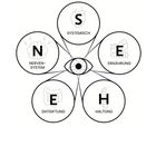 "SYSTEMISCH, ERNÄHRUNG, HALTUNG, ENTGIFTUNG, NERVENSYSTEM." Ein zentrales Auge verbindet fünf Kreise mit Symbolen.