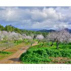 2 2027, Kalendertage darunter. Mandelbäume in voller Blüte entlang eines schmalen Wegs, grünes Gras, bewölkter Himmel.
