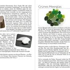 **Links:**

1. Überschrift: "Milchglas"
2. Text: Erklärt die Zusammensetzung und Herkunft von Glasarten.

**Rechts:**

1. Überschrift: "Grünes Meerglas"
2. Text: Beschreibt die Vielfalt und Herkunft grüner Meerglasstücke.