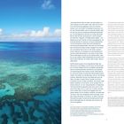 „Das Great Barrier Reef und alles, was dazu gehört, ist mein Zuhause und mein Leben.“, an einem Korallenriff in blauem Wasser.