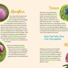 Seite mit Texten über Alpenflora, Enzian und Alpenrose. Enthält Fotos der Blumen und eine Illustration, Seite 64.