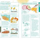Texte: "Wo wir wachsen", "Sporenbilder", "Im Wasser", "An anderen Pilzen", "Auf Ausscheidungen". Beschreibungen von Pilzen in Kästen. Illustrationen von Pilzen, Sporen und Händen.