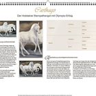 "Carthago: Der Holsteiner Stempelhengst mit Olympia-Erfolg. Abstammung und Persönlichkeit, Eigenleistung und erfolgreiche Nachkommen." 

Enthält eine Tabellenübersicht der Abstammung und Illustrationen eines weißen Pferdes in verschiedenen Posen.