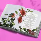 Text über Rosen und ihre Verwendung, daneben rosafarbene Blumen und grüne Blätter auf einer Doppelseite eines Buches.