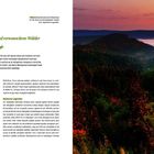 Text: "Friedlich schimmert der Ellbachsee im Tal, doch um das Gewässer ranken sich mystische Legenden. Geheimnisvolle Seen und verwunschene Wälder."

Links Text über Seen und Wälder. Rechts ein bewaldetes Tal bei Sonnenaufgang mit einem kleinen See.