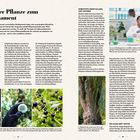 "Von der Pflanze zum Medikament. Fast die Hälfte aller zurzeit verwendeten Medikamente haben eine..."

Ein wissenschaftlicher Artikel beschreibt die Entwicklung von Medikamenten aus Pflanzen, illustriert mit Fotos von Pflanzen und einer Laborforscherin.