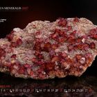 "MUNDUS MINERALIS 2027", Fluorit XX, Deutschland, Sachsen, Erzgebirge. Kalenderblatt für Februar mit Mineralabbildung.