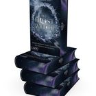 Stapel von Büchern mit Titel "The Frost Witch". Untertitel: "Hexen werden nicht geboren. Sie werden erschaffen."