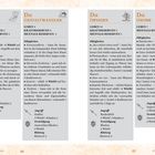 „Die Pixies“, „Die Gestaltwandler“, „Die Dryaden“, „Die Gnome“ – Fähigkeiten und Angriffswerte werden beschrieben.