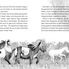 Links Text über Ponys und ihre Nahrung. Rechts Geschichte über Tilda und Ponys. Unten Illustration von rennenden Ponys.