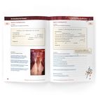 Kapitel 6: Die Modenschau. Kapitel 7: Samstag, der 25. Aufgaben ergänzen Zusammenfassungen. Bild: Model auf Laufsteg.