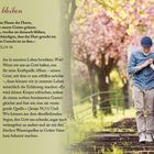 „Frisch bleiben“ steht oben. Links ein Psalm mit Erklärung, rechts ein fröhliches Paar auf einer Treppe im Frühling.