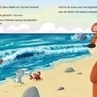 Texte: Staunen über die Schöpfung, Frage nach biblischen Geschichten.  
Illustration: Bären am Strand, Meer, Hase, Krabbe.