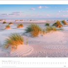 Februar 2027 | Inseln & Meer. Dünenlandschaft mit Grasbüscheln im Sonnenlicht.