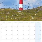 Kalender für Februar 2027 mit Notizen zu Rosenmontag und Valentinstag. Darunter ein roter Leuchtturm auf grasbewachsenen Dünen.