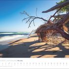 Februar 2027 Kalenderseite. Strand mit umgestürzten Bäumen, ruhiges Meer, blauer Himmel, Schatten auf dem Sand.