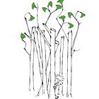 Illustration: Ein Kind schaut hinter dünnen, kahlen Bäumen hervor, einige Zweige tragen grüne Blätter.