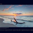 03 März. Untertitel beschreibt die Grauweißkehlstrände im Nationalpark Vorpommersche Boddenlandschaft. Textkalender März 2023.