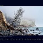 01 Januar. Ein nebliger Küstenabschnitt mit Kreidefelsen. Ein kahler Baum ragt ins Bild, umgeben von Kieseln und Wasser.