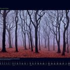 11 November, Nebeliger Wald mit kahlen Bäumen und herbstlichen Blättern am Boden. Unten eine Monatsübersicht.