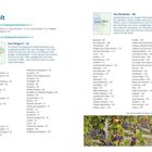 Inhalt: Orientierung in Südwestfrankreich, Périgord, Bordeaux, Regionen, Orte; Bild: Weinreben im Herbst, bunte Blätter.