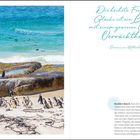 Die höchste Form des Glücks ist ein Leben mit einem gewissen Grad an Verrücktheit. Boulders Beach: Pinguine am Strand.