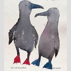 Blau- und Rotfußtölpel; Kalender für Februar. Zwei abstrakte Vögel mit bunten Füßen, roter Punkt oben.