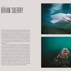 Links Text über Brian Skerry, Fotograf; rechts oben Belugas, unten neugieriger Seehund im Wasser.
