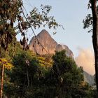 Keine Texte sichtbar. Ein Berg erhebt sich hinter üppigem, grünem Wald mit bunten Blüten, im Vordergrund Bäume und Äste.