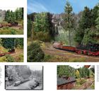 Texte: "Der weitere Ablauf des Rangiermanövers... Bedienung der Schleppweiche".  
Modelleisenbahn in Landschaft. Mehrere Szenen mit Dampflok und Wagons.