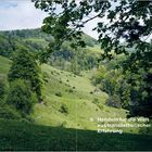 9. Handeln für die Welt aus transästhetischer Erfahrung. Eine grüne, hügelige Landschaft mit einem Haus.