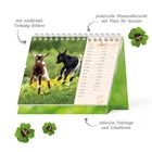 Kalender mit Zicklein; Texte: niedliche Tierbaby-Bilder, praktische Monatsübersicht, inklusive Feiertage.