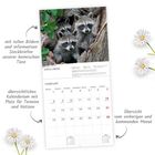 „Mit tollen Bildern und informativen Steckbriefen unserer heimischen Tiere“ neben Waschbär-Foto und Kalenderblatt.