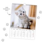 "100% Niedlichkeitsfaktor", Mai. Kalender mit einem niedlichen Kätzchen und Pfotenabdrücken.