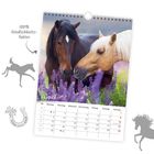 Kalendermonat August. Zwei Pferde stehen in einem Lavendelfeld. Text: "100% Niedlichkeitsfaktor".