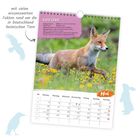 "ROTFUCHS: Ordnung Raubtiere, Familie Hunde, Lebensraum Wälder. Mai Kalender mit einem Fuchs auf einer blühenden Wiese."