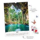 "mit großen, wunderschönen Bildern", "übersichtliches Kalendarium", "Juni". Kalender mit Naturmotiv und Schmetterlingen.