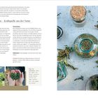 Titel: Brennnesselsamen – Kraftquelle aus der Natur. Text über Sammeln, Aufbewahren, Verwendung, Haltbarkeit. Rechts Gläser mit Samen.