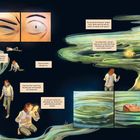 Texte: "Da sprach der König...was du willst, ich werde es dir geben." "Herodes fürchtete Johannes...schätzte ihn." Illustration: Eine Geschichte mit fließenden Wasserströmen.